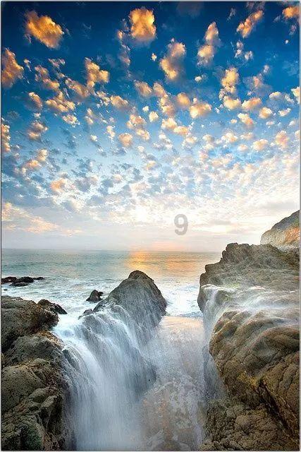 沪江开心词场