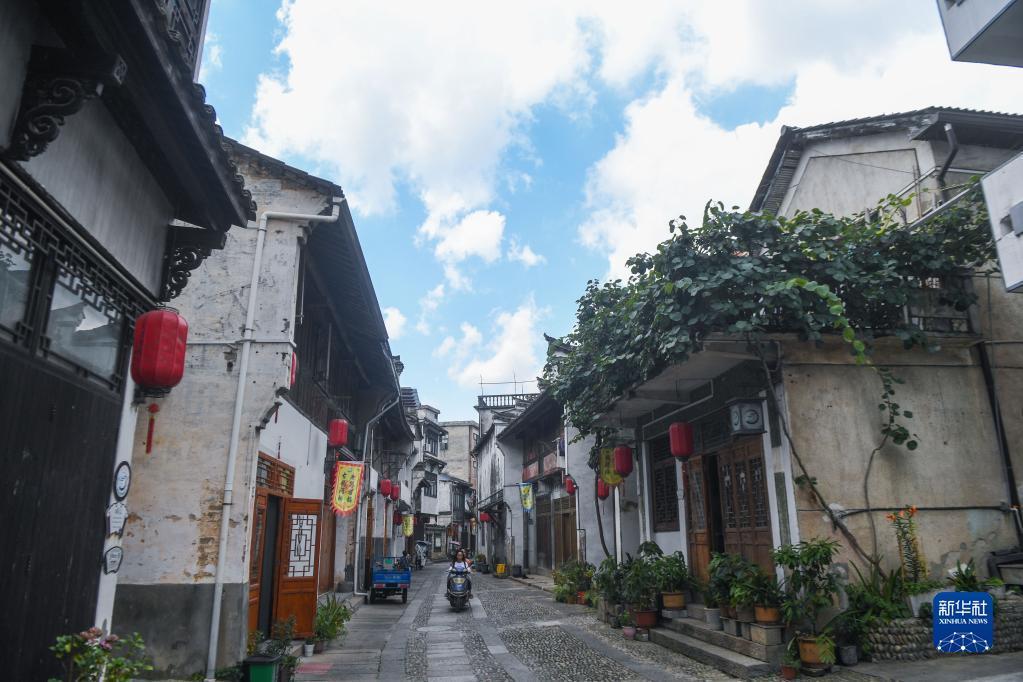 专业问答平台萨莫奈战争:罗马统一中部意大利?,解决你的疑问